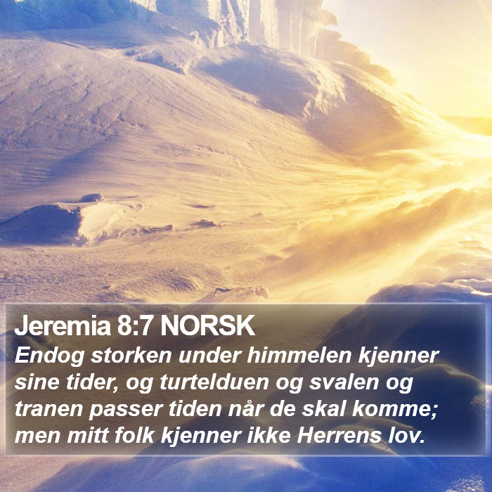 Jeremia 8:7 NORSK Bible Study