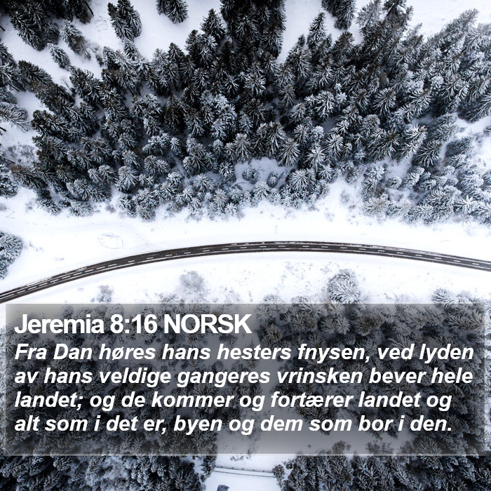 Jeremia 8:16 NORSK Bible Study