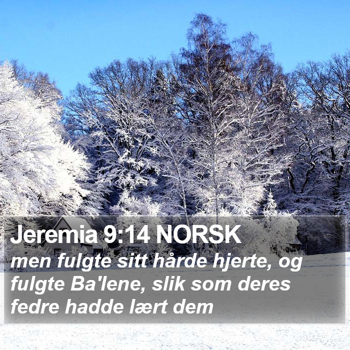 Jeremia 9:14 NORSK Bible Study