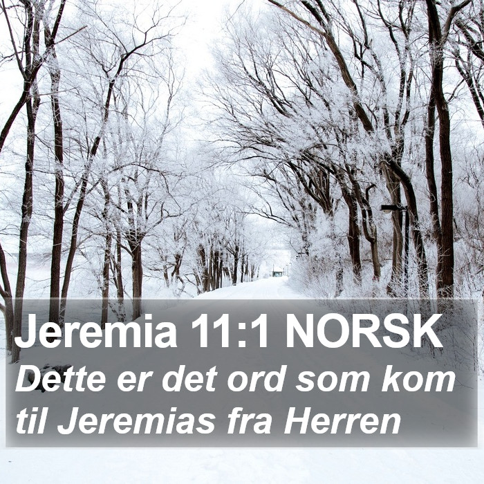 Jeremia 11:1 NORSK Bible Study