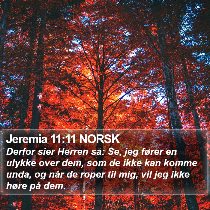 Jeremia 11:11 NORSK Bible Study