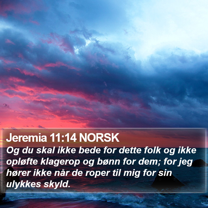 Jeremia 11:14 NORSK Bible Study