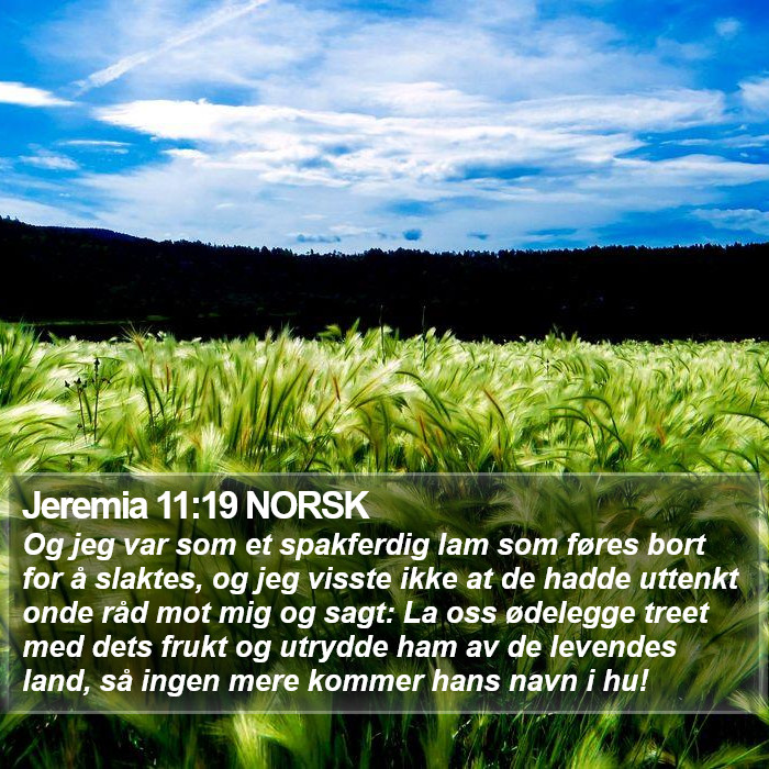 Jeremia 11:19 NORSK Bible Study