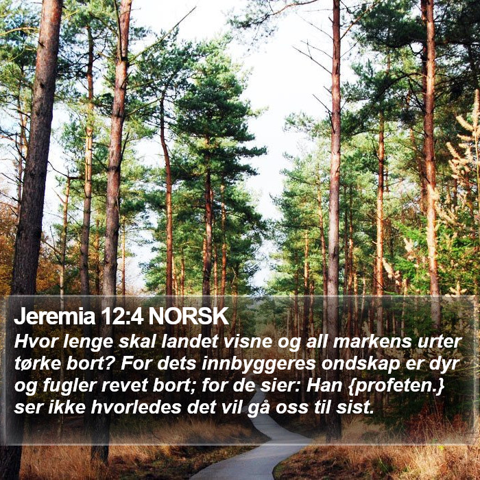 Jeremia 12:4 NORSK Bible Study