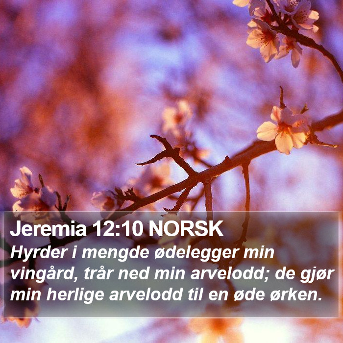 Jeremia 12:10 NORSK Bible Study