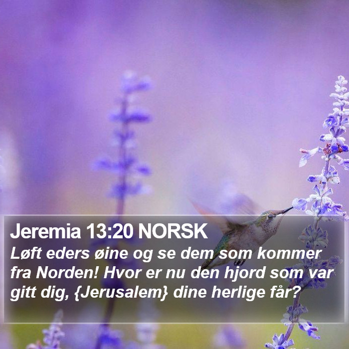 Jeremia 13:20 NORSK Bible Study