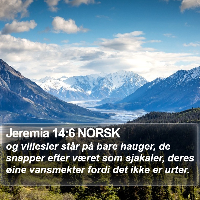 Jeremia 14:6 NORSK Bible Study