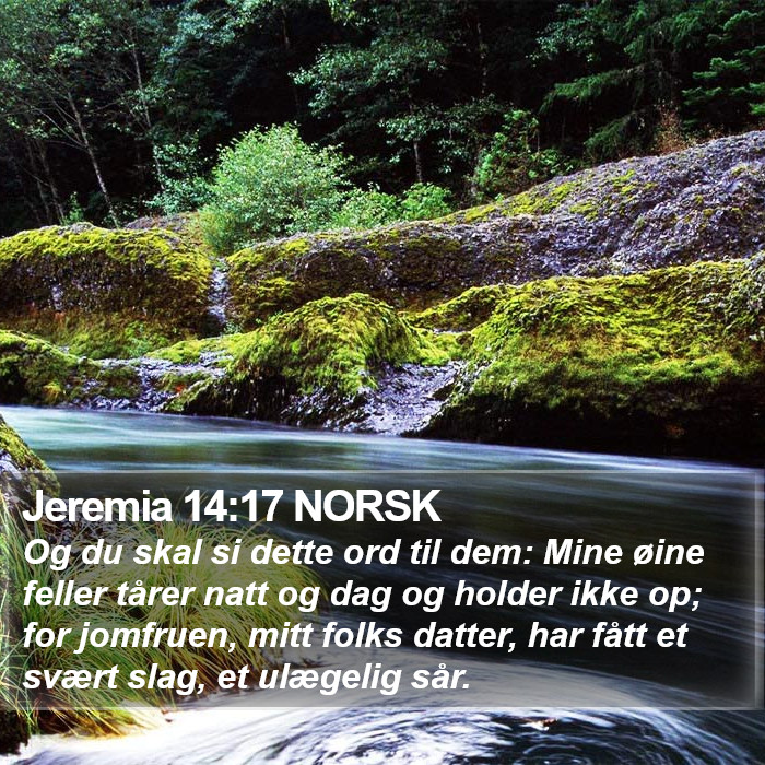 Jeremia 14:17 NORSK Bible Study