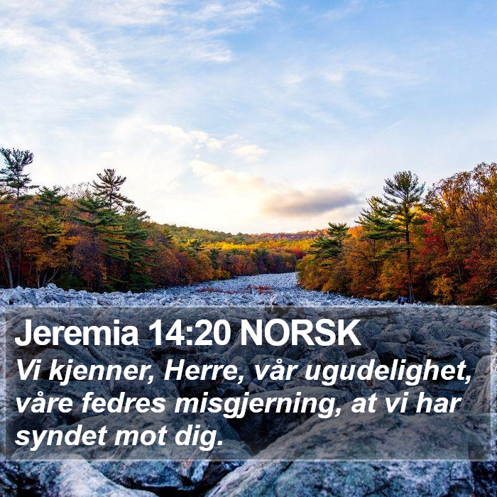 Jeremia 14:20 NORSK Bible Study