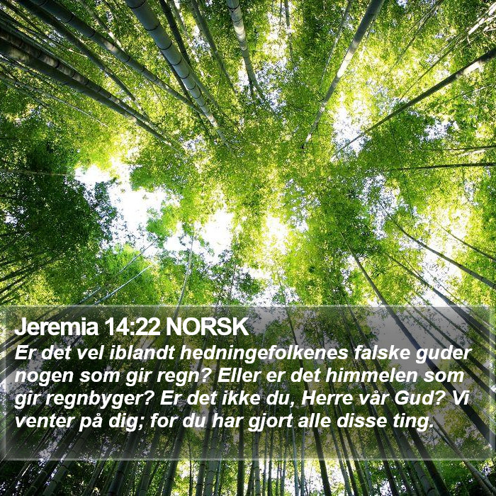 Jeremia 14:22 NORSK Bible Study