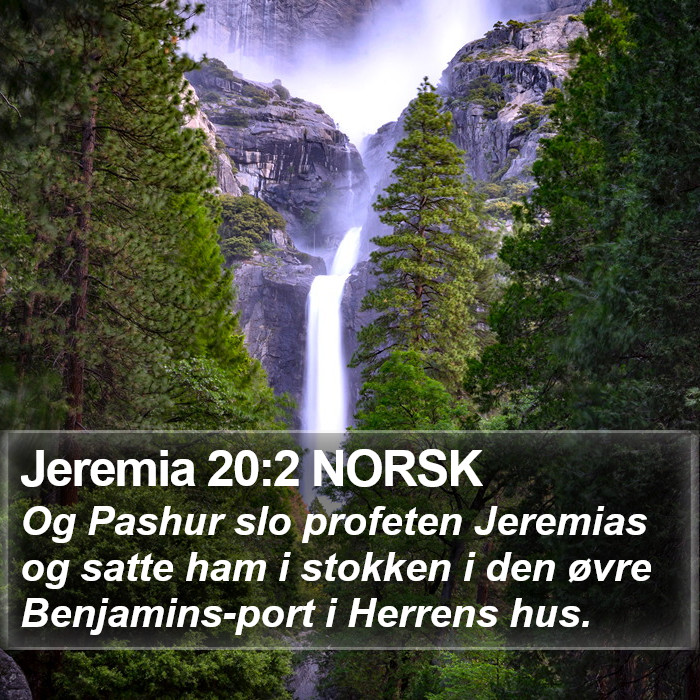 Jeremia 20:2 NORSK Bible Study