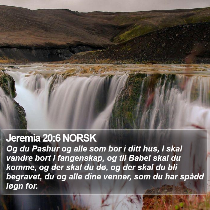 Jeremia 20:6 NORSK Bible Study