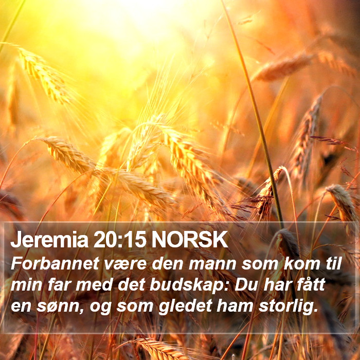 Jeremia 20:15 NORSK Bible Study