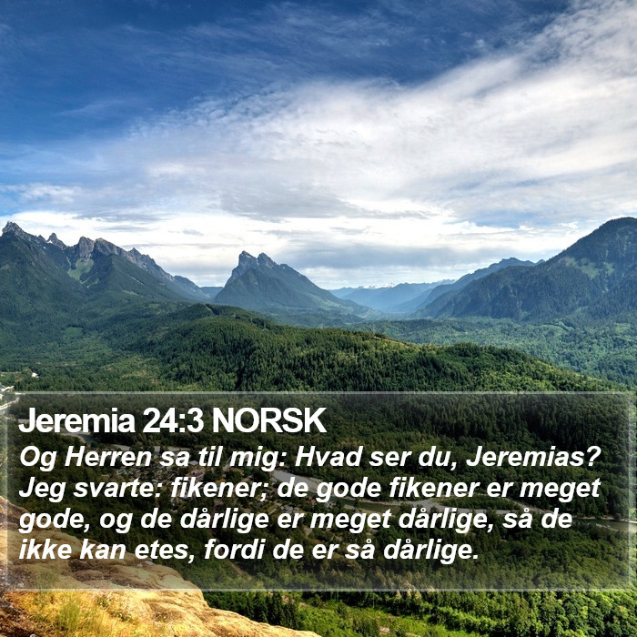 Jeremia 24:3 NORSK Bible Study