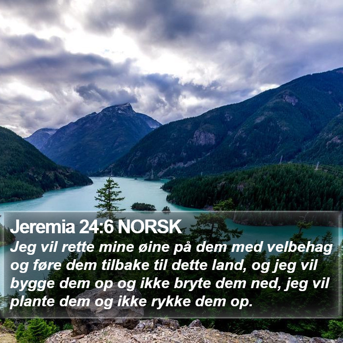 Jeremia 24:6 NORSK Bible Study