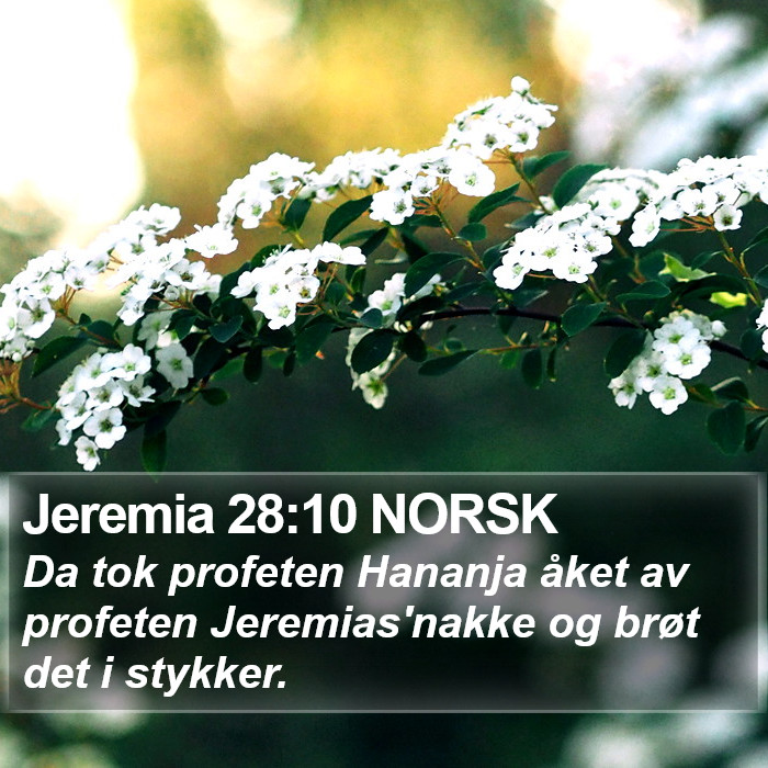 Jeremia 28:10 NORSK Bible Study