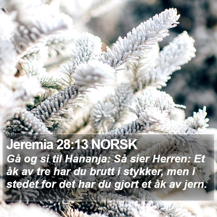 Jeremia 28:13 NORSK Bible Study
