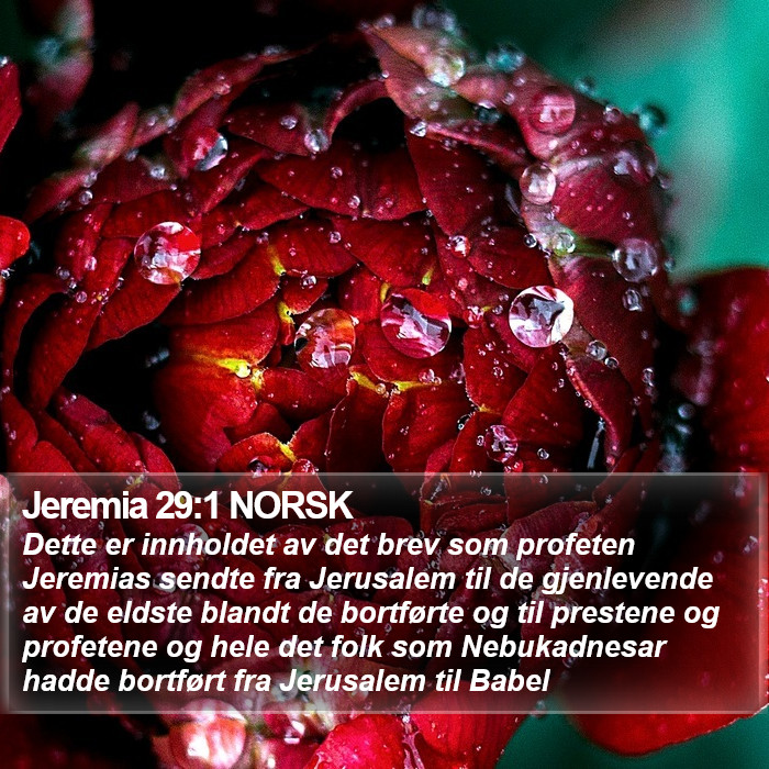 Jeremia 29:1 NORSK Bible Study