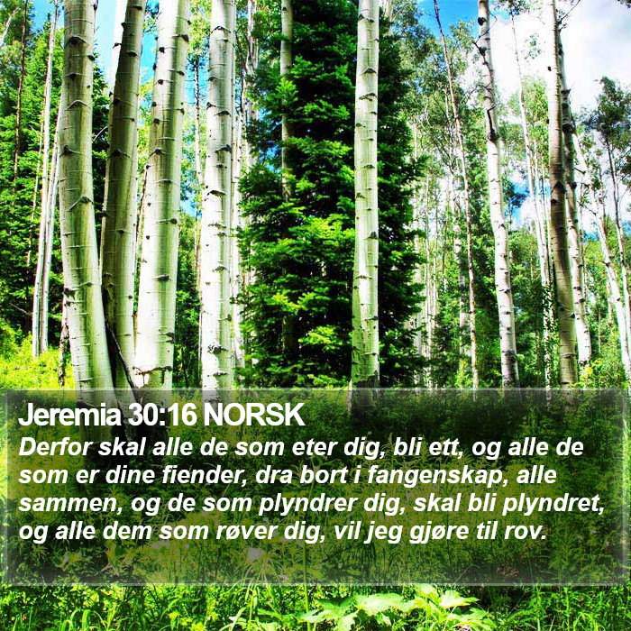 Jeremia 30:16 NORSK Bible Study