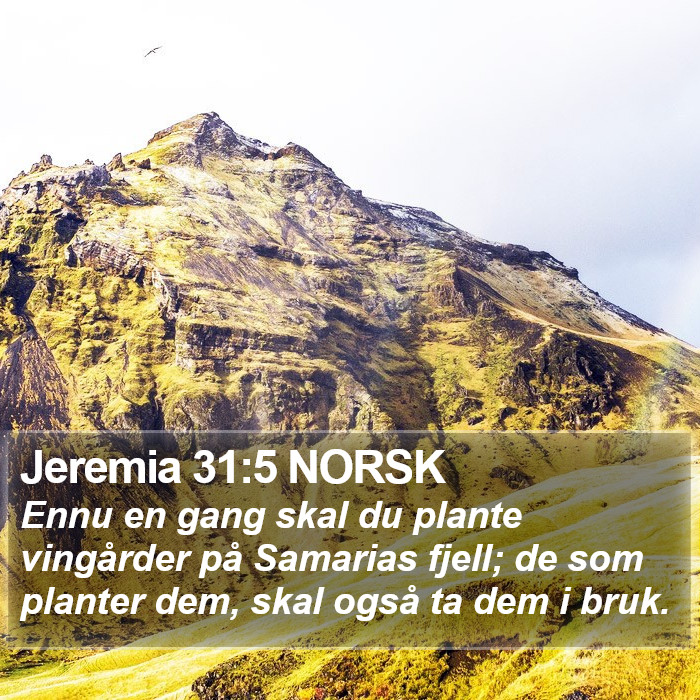 Jeremia 31:5 NORSK Bible Study