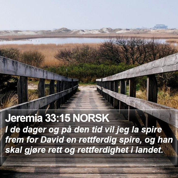 Jeremia 33:15 NORSK Bible Study