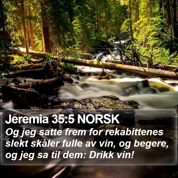 Jeremia 35:5 NORSK Bible Study