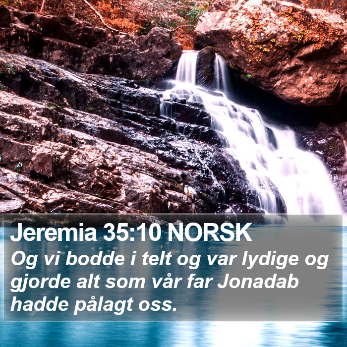 Jeremia 35:10 NORSK Bible Study