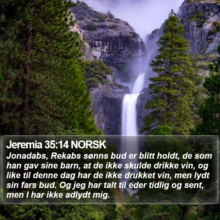 Jeremia 35:14 NORSK Bible Study