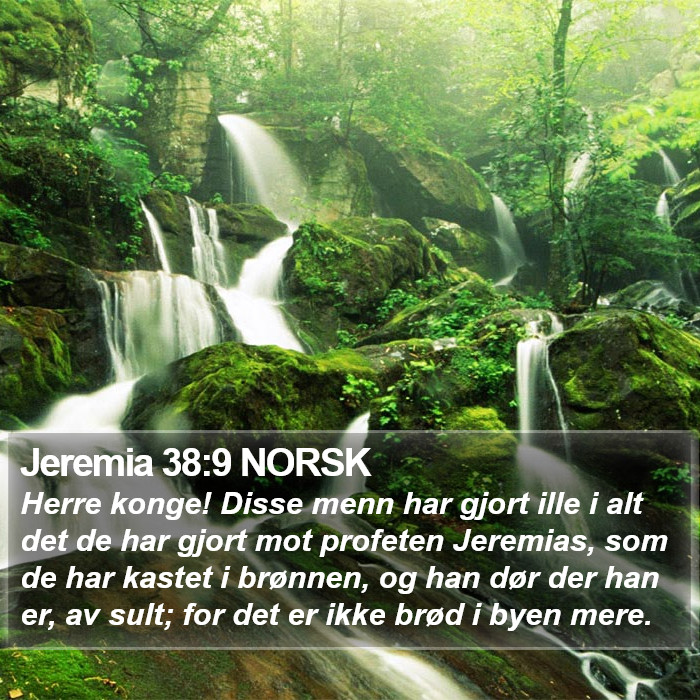 Jeremia 38:9 NORSK Bible Study