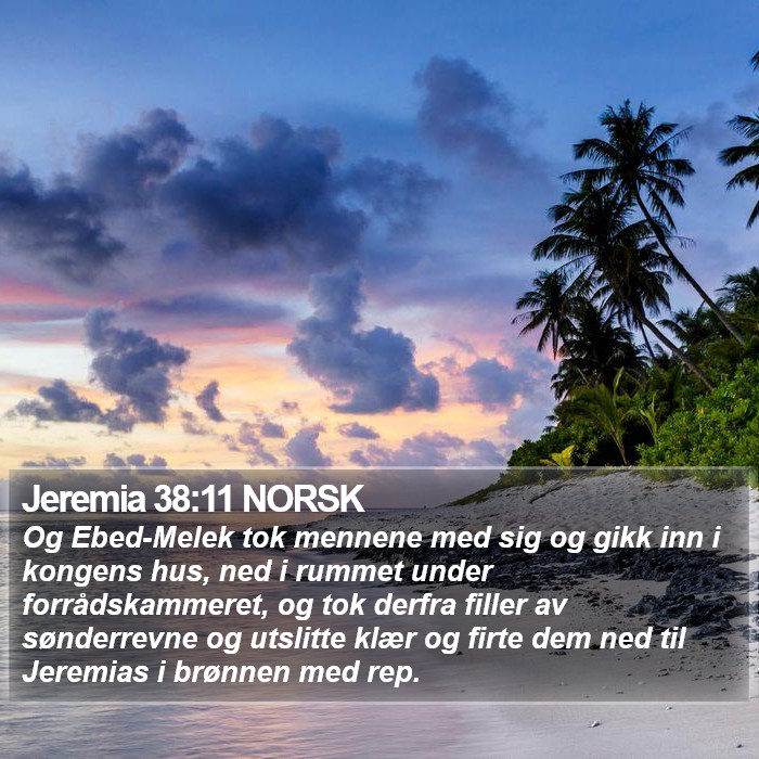 Jeremia 38:11 NORSK Bible Study