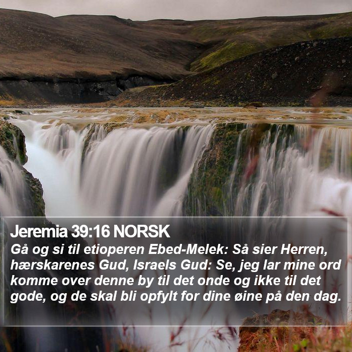 Jeremia 39:16 NORSK Bible Study