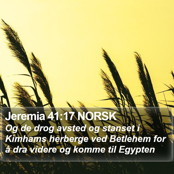 Jeremia 41:17 NORSK Bible Study