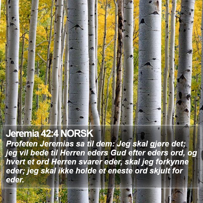 Jeremia 42:4 NORSK Bible Study