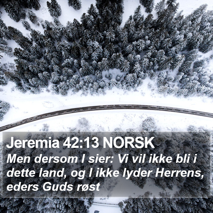 Jeremia 42:13 NORSK Bible Study