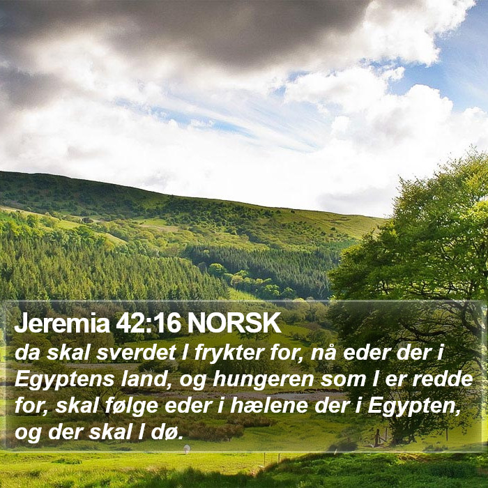 Jeremia 42:16 NORSK Bible Study