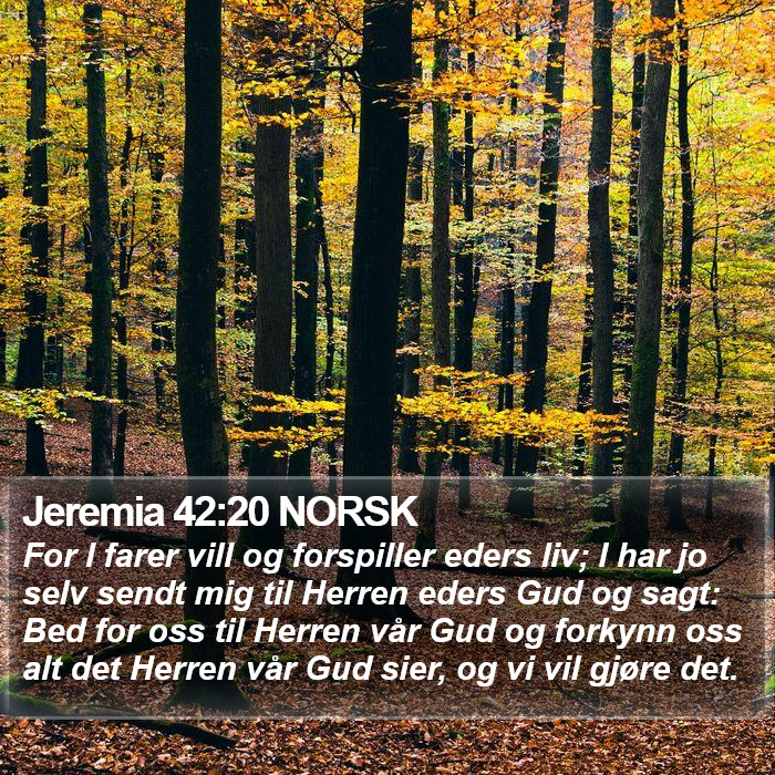 Jeremia 42:20 NORSK Bible Study