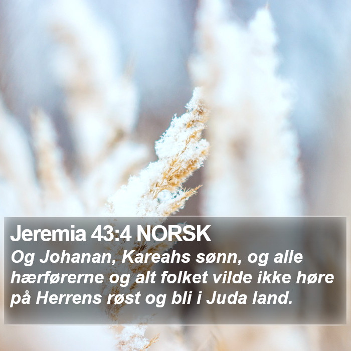 Jeremia 43:4 NORSK Bible Study