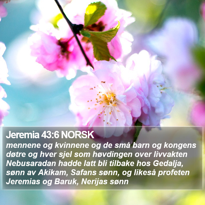 Jeremia 43:6 NORSK Bible Study