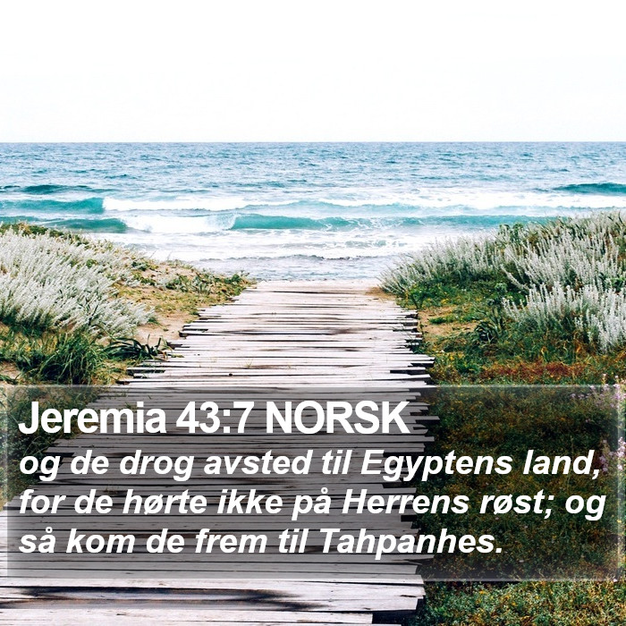 Jeremia 43:7 NORSK Bible Study