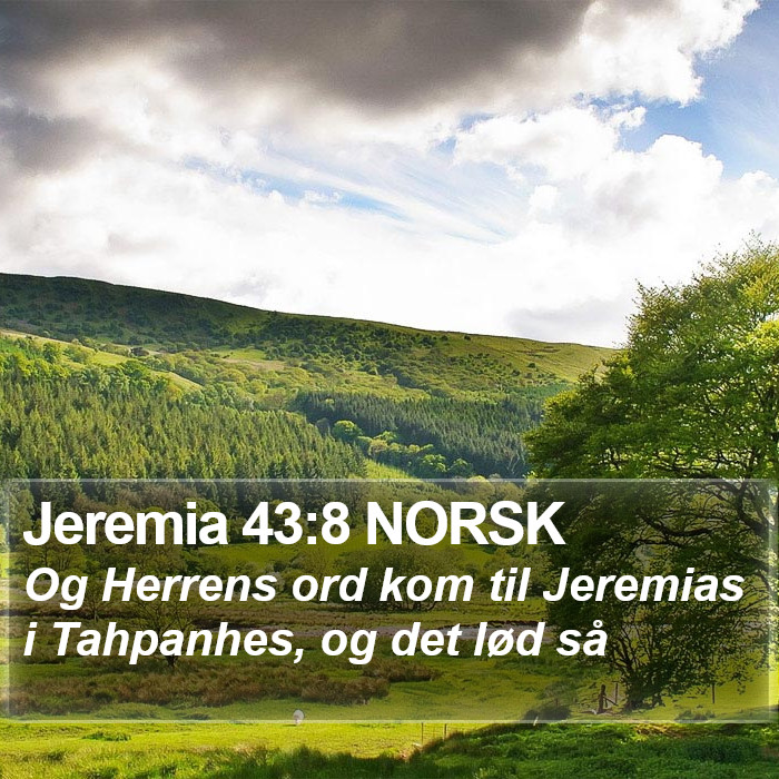 Jeremia 43:8 NORSK Bible Study