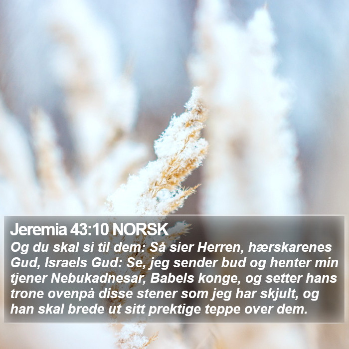 Jeremia 43:10 NORSK Bible Study