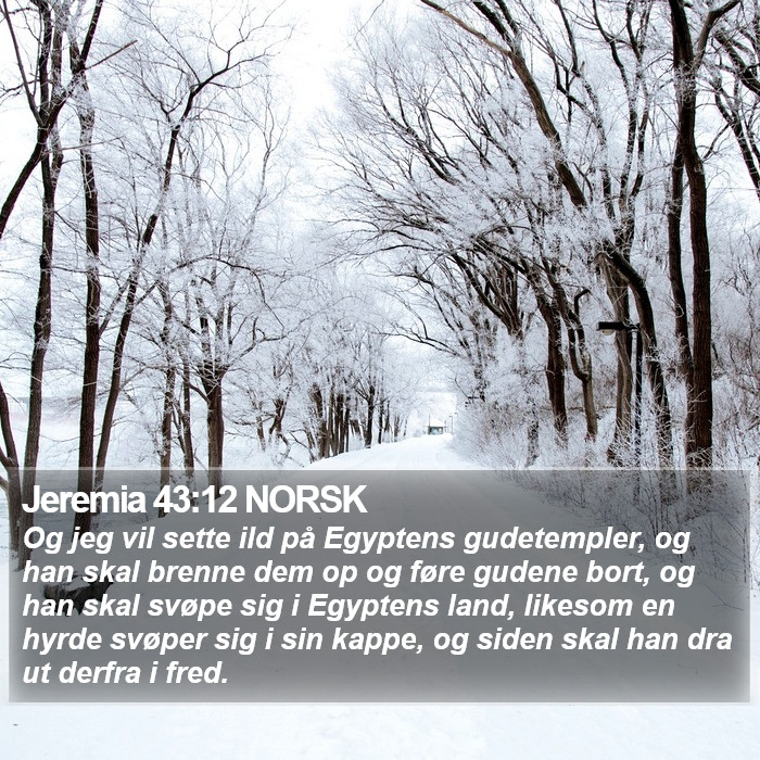 Jeremia 43:12 NORSK Bible Study