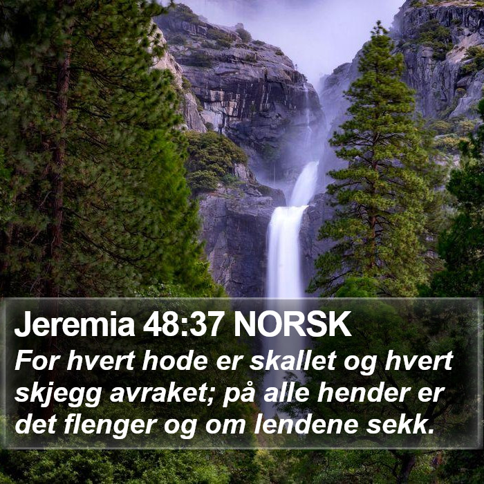 Jeremia 48:37 NORSK Bible Study