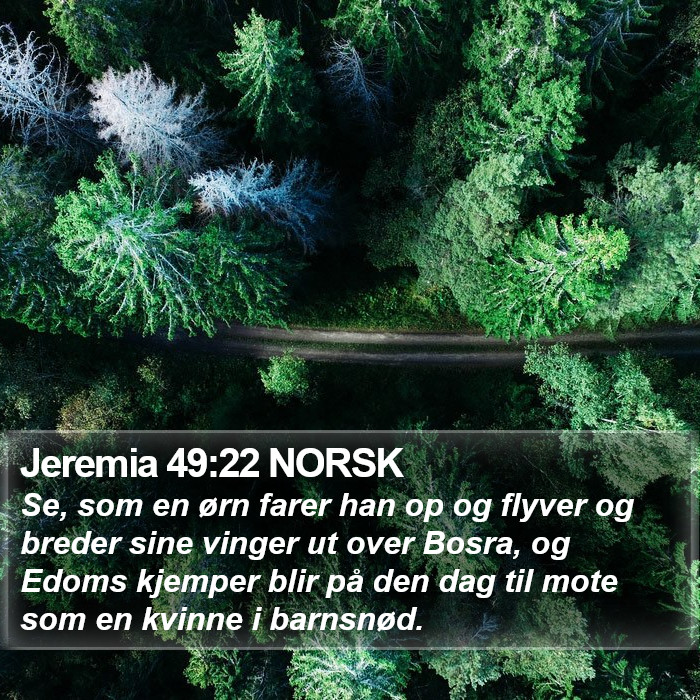 Jeremia 49:22 NORSK Bible Study