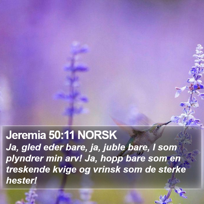 Jeremia 50:11 NORSK Bible Study