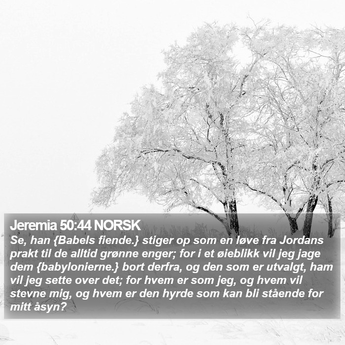 Jeremia 50:44 NORSK Bible Study