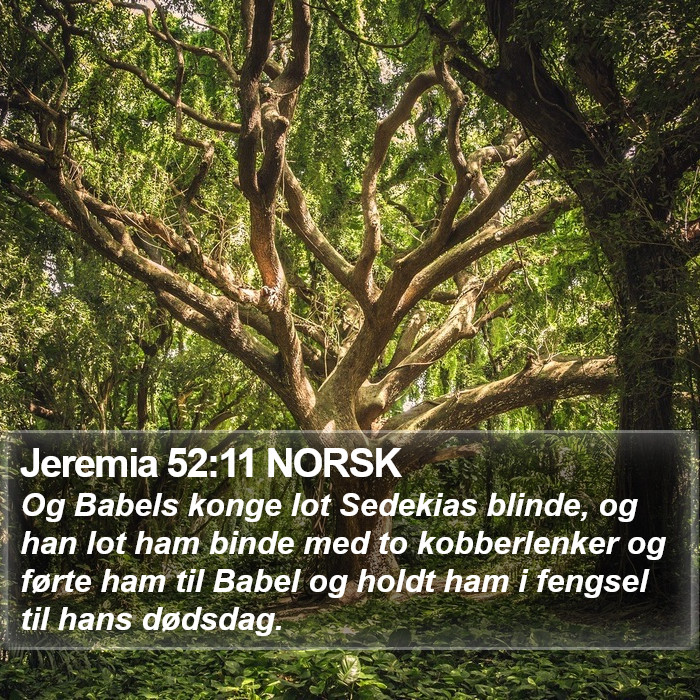 Jeremia 52:11 NORSK Bible Study