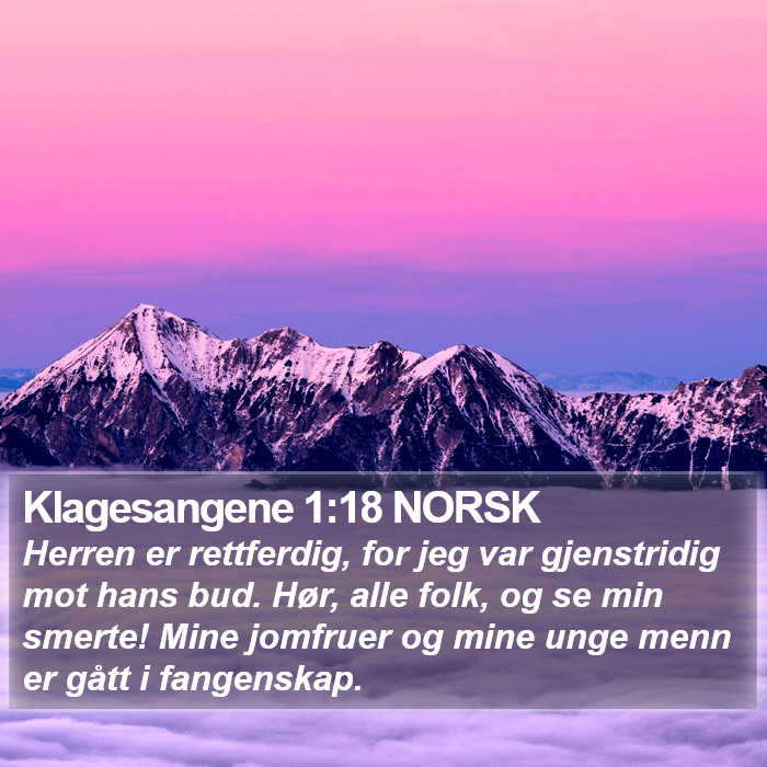 Klagesangene 1:18 NORSK Bible Study