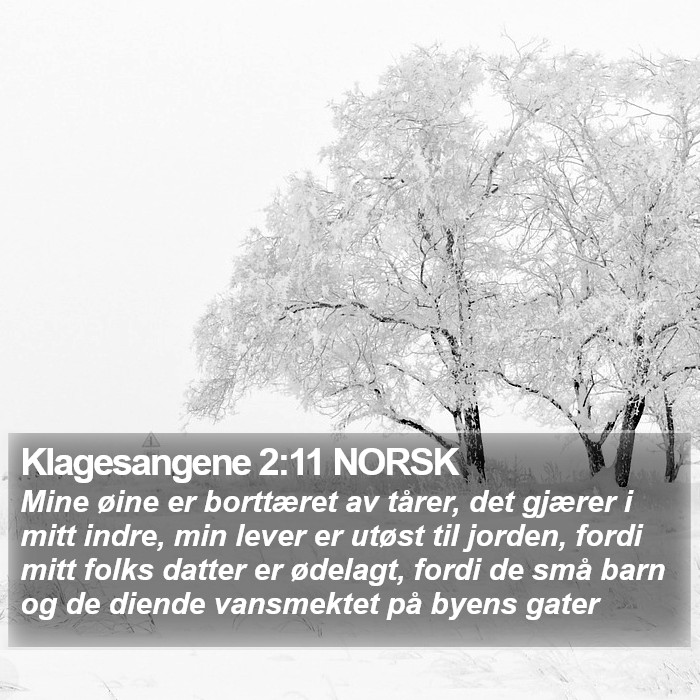 Klagesangene 2:11 NORSK Bible Study