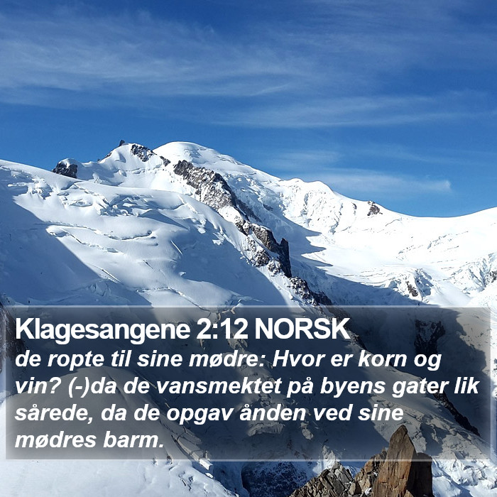 Klagesangene 2:12 NORSK Bible Study